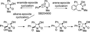 Graphical abstract: Highly efficient and concise synthesis of both antipodes of SB204900, clausenamide, neoclausenamide, homoclausenamide and ζ-clausenamide. Implication of biosynthetic pathways of clausena alkaloids