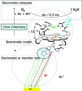 Graphical abstract: Electrochemical applications. How click chemistry brought biomimetic models to the next level: electrocatalysis under controlled rate of electron transfer