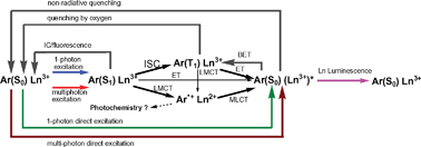 Graphical abstract: Sensitised luminescence in lanthanide containing arrays and d–f hybrids