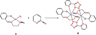 Graphical abstract: Synthesis of mono- and bis-tetrazolato complexes of Ni(II), Pt(II) and Cu(II)via1,3-dipolar cycloadditions of 2-cyanopyridines with metal ligated azides in N,N,O-aminoiminophenolato complexes