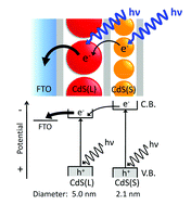 Graphical abstract: Stacked-structure-dependent photoelectrochemical properties of CdS nanoparticle/layered double hydroxide (LDH) nanosheet multilayer films prepared by layer-by-layer accumulation