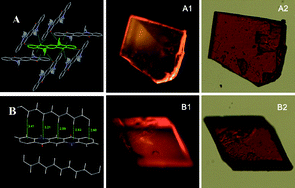 Graphical abstract: Polymorphs and luminescent properties of a cetyl substituted quinacridone derivative