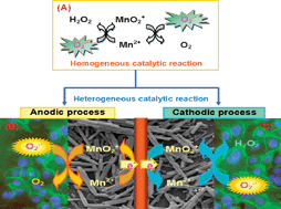 Graphical abstract: Electrochemical assay of superoxide based on biomimetic enzyme at highly conductive TiO2 nanoneedles: from principle to applications in living cells