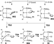 Graphical abstract: Carbon–hydrogen vs. carbon–halogen oxidative addition of chlorobenzene by a neutral iridium complex explored by DFT