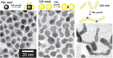 Graphical abstract: CdPd sulfide heterostructured nanoparticles with metal sulfide seed-dependent morphologies