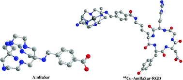 Graphical abstract: Synthesis of a novel bifunctional chelator AmBaSar based on sarcophagine for peptide conjugation and 64Cu radiolabelling