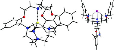 Graphical abstract: Halide binding in laterally non-symmetric aza-oxa cryptands through N/O/C–H⋯halide interactions with characterization of small water clusters