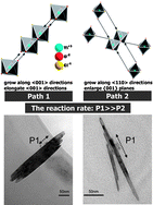 Graphical abstract: {110}-exposed rutile titanium dioxide nanorods in photocatalytic performance