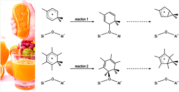 Graphical abstract: Theoretical evaluation of zeolite confinement effects on the reactivity of bulky intermediates