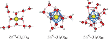 Graphical abstract: Micro-solvation of the Zn2+ ion—a case study