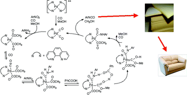 Graphical abstract: Away from phosgene: reductive carbonylation of nitroarenes and oxidative carbonylation of amines, understanding the mechanism to improve performance