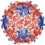 Graphical abstract: Engineering and exploiting protein assemblies in synthetic biology