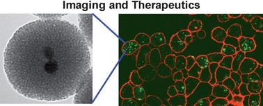 Graphical abstract: Mesostructured multifunctional nanoparticles for imaging and drug delivery