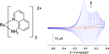 Graphical abstract: Electrochemistry of ruthenium(ii) complexes of 8-aminoquinoline