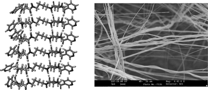 Graphical abstract: Solvent-free construction of self-assembled 1D nanostructures from low-molecular-weight organogelators: sublimationvs.gelation