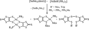 Graphical abstract: S,C- and S,S-coupling via dithiolate transfer reactions from tin to nickel complexes