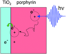 Graphical abstract: Effects of molecular organization on exciton diffusion in thin films of bioinspired light-harvesting molecules