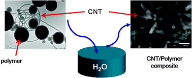 Graphical abstract: Carbon nanotube/polysulfone soft composites: preparation, characterization and application for electrochemical sensing of biomarkers