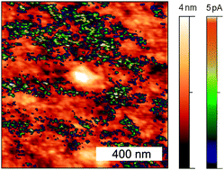 Graphical abstract: Integrated blocking layers for hybrid organic solar cells