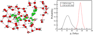 Graphical abstract: Solvation shell structure of cyclooctylpyranone in water solvent and its comparative structure, dynamics and dipole moment in HIV protease