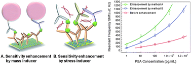 Graphical abstract: Sensitivity enhancement of a dynamic mode microcantilever by stress inducer and mass inducer to detect PSA at low picogram levels