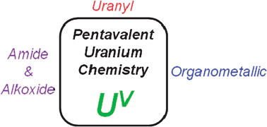 Graphical abstract: Pentavalent uranium chemistry—synthetic pursuit of a rare oxidation state