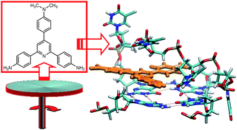 Graphical abstract: A microfluidic platform to synthesise a G-quadruplex binding ligand