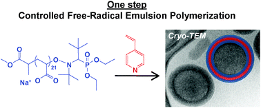 Graphical abstract: Formation of polymer vesicles by simultaneous chain growth and self-assembly of amphiphilic block copolymers