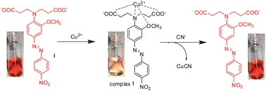 Graphical abstract: Colorimetric cyanide detection using an azobenzene acid in aqueous solutions