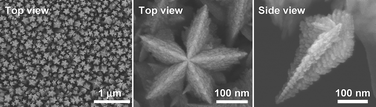 Graphical abstract: Dense growth of multiply-twinned star-shaped molybdenum particles by atmospheric H2/Ar microplasma jet