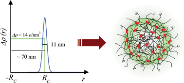 Graphical abstract: Structure of casein micelles and their complexation with tannins