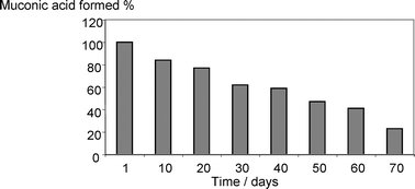 Graphical abstract: Catalytic properties of catechol 1,2-dioxygenase from Acinetobacter radioresistens S13 immobilized on nanosponges