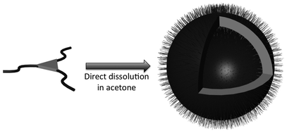 Graphical abstract: Self-organization of rod–coil tri- and tetra-arm star metallo-supramolecular block copolymers in selective solvents