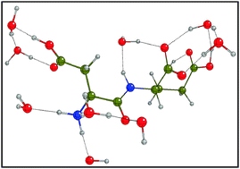 Graphical abstract: Vibrational spectroscopy and DFT calculations of the di-amino acid peptide l-aspartyl-l-glutamic acid in the zwitterionic state