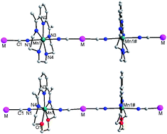 Graphical abstract: Rational design of cyanide-bridged heterometallic M(I)–Mn(II) (M = Ag, Au) one-dimensional chain complexes: synthesis, crystal structures and magnetic properties