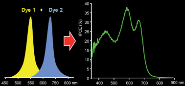 Graphical abstract: Multi-donor molecular bulk heterojunction solar cells: improving conversion efficiency by synergistic dye combinations