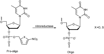 Graphical abstract: The design, synthesis and evaluation of hypoxia-activated pro-oligonucleotides