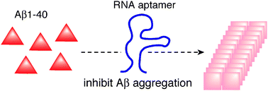 Graphical abstract: RNA aptamers selected against amyloid β-peptide (Aβ) inhibit the aggregation of Aβ