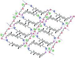 Graphical abstract: Structure and properties of two component hydrogels comprising lithocholic acid and organic amines