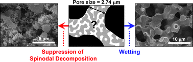 Graphical abstract: Spinodal decomposition in siloxane sol-gel systems in macroporous media