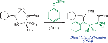 Graphical abstract: Direct lateral metallation using alkali-metal mediated zincation (AMMZn): SiC–H vs.Si–O bond cleavage