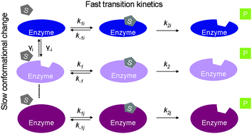 Graphical abstract: Probing single enzyme kinetics in real-time