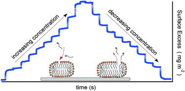 Graphical abstract: Very slow surfactant adsorption at the solid–liquid interface is due to long lived surface aggregates
