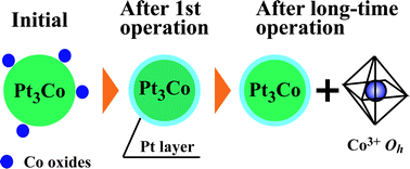 Graphical abstract: Co oxidation accompanied by degradation of Pt–Co alloy cathode catalysts in polymer electrolyte fuel cells