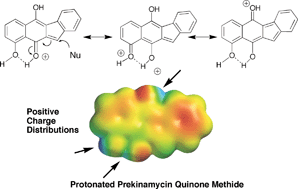 Graphical abstract: Quinone methide chemistry of prekinamycins: 13C- labeling, spectral global fitting and in vitro studies