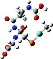 Graphical abstract: Synthesis, characterization and structures of methylmercury complexes with selenoamino acids