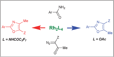 Graphical abstract: The rhodium carbene route to oxazoles: a remarkable catalyst effect