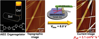Graphical abstract: Single-crystalline organic nanowires with large mobility and strong fluorescence emission: a conductive-AFM and space-charge-limited-current study