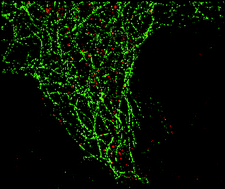 Graphical abstract: Microscopy beyond imaging: space-resolved photochemistry and photobiology