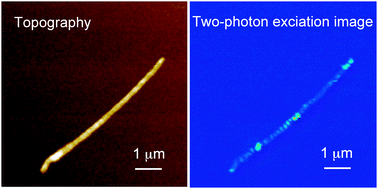 Graphical abstract: Two-photon imaging of localized optical fields in the vicinity of silver nanowires using a scanning near-field optical microscope